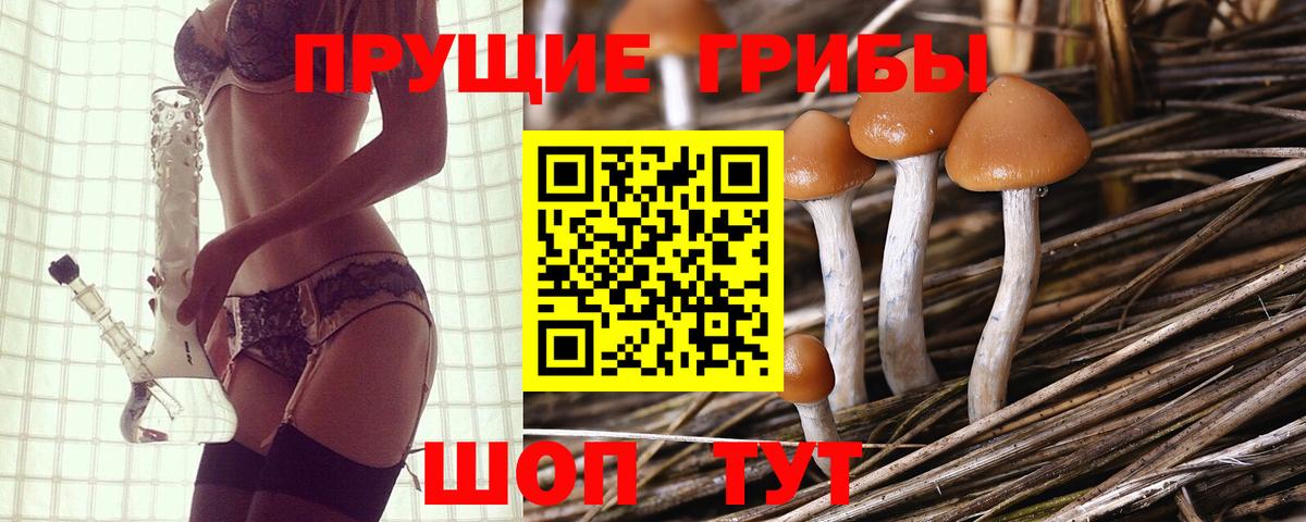 МАРИХУАНА  ГАШИШ  COCAIN  Ртищево  Вход с VPN  LSD-25  Мефедрон кристаллы  A-PVP СОЛЬ кристаллы 