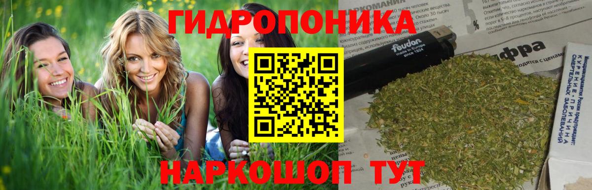 Каннабис OG Kush  Вход с VPN  Бошки марихуана SATIVA & INDICA  Ртищево  Конопля план 
